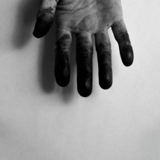 05-bonato-01.jpg