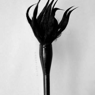 05-bonato-02.jpg