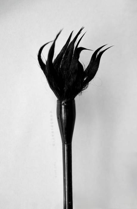 05-bonato-02.jpg